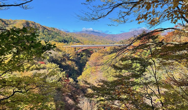 日本東北攤位・福島縣南地區超受矚目消息