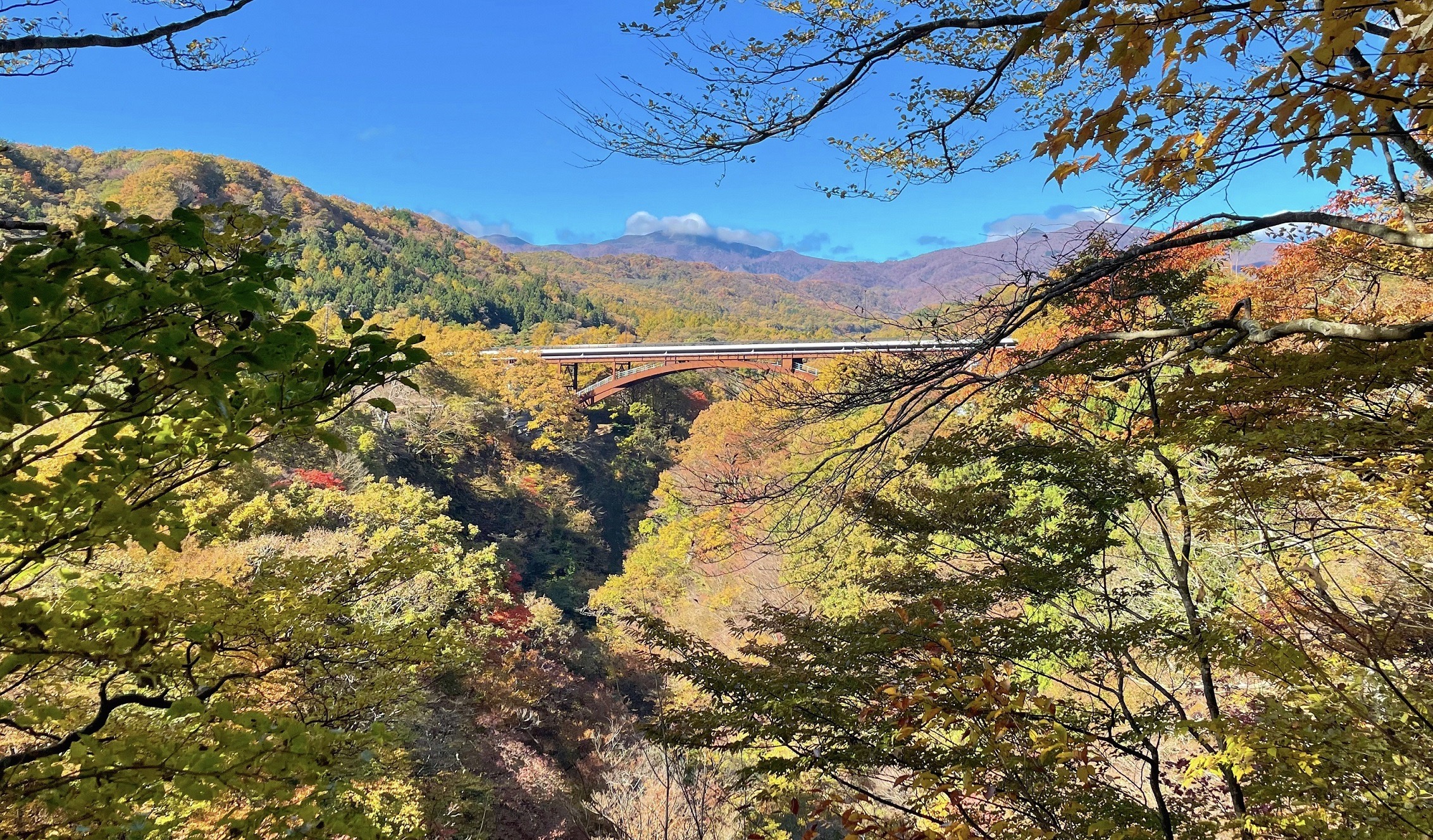 日本東北攤位・福島縣南地區超受矚目消息
